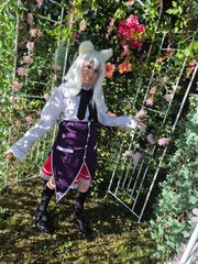 Sortie de Koneko preview 2