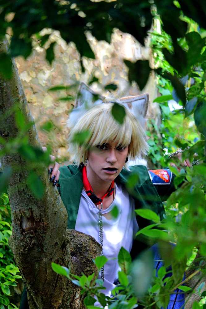 🐺Bakugo halloween💥 - Photo 1