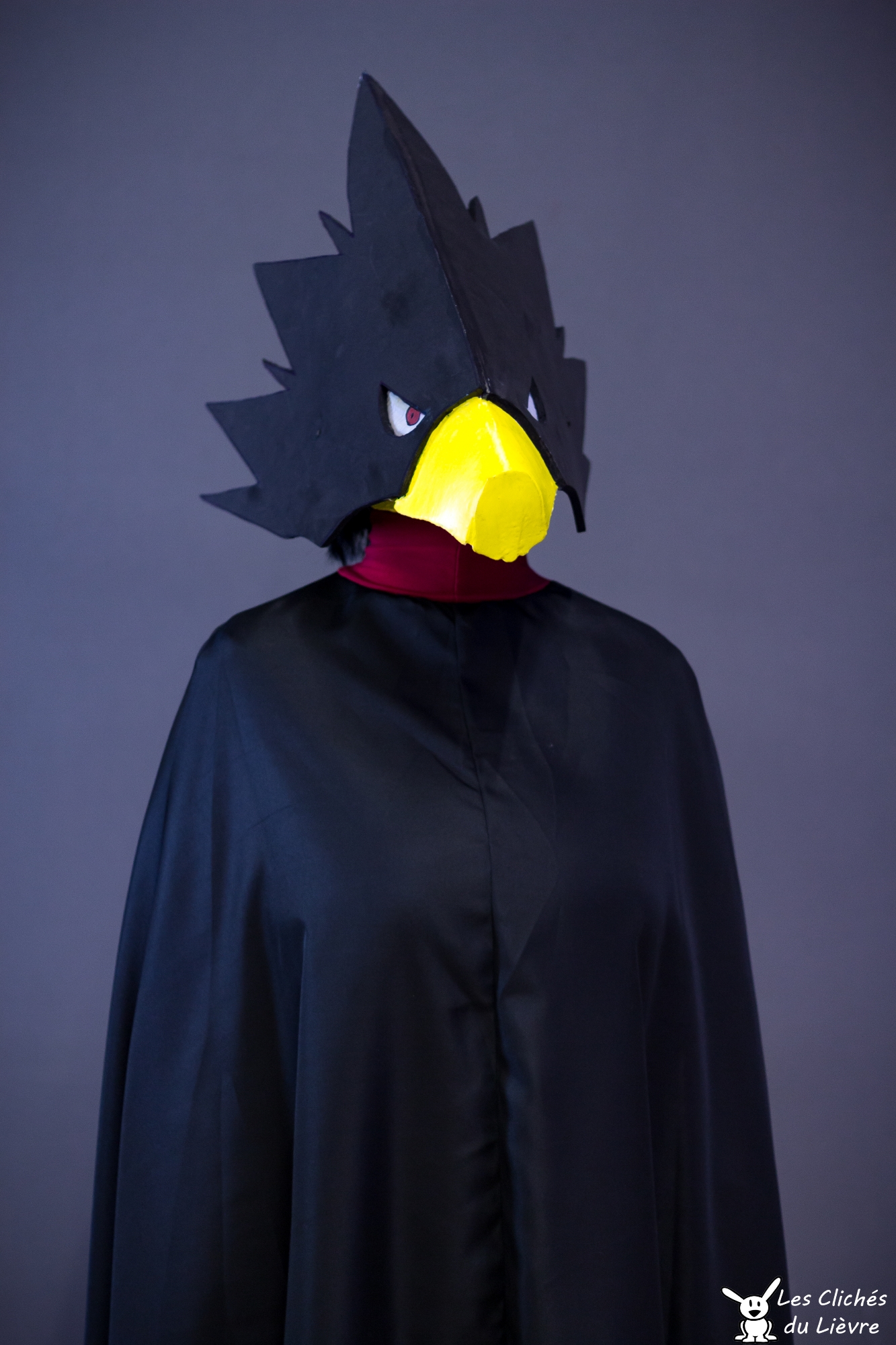 Tokoyami - Kamoplay - Photo 2
