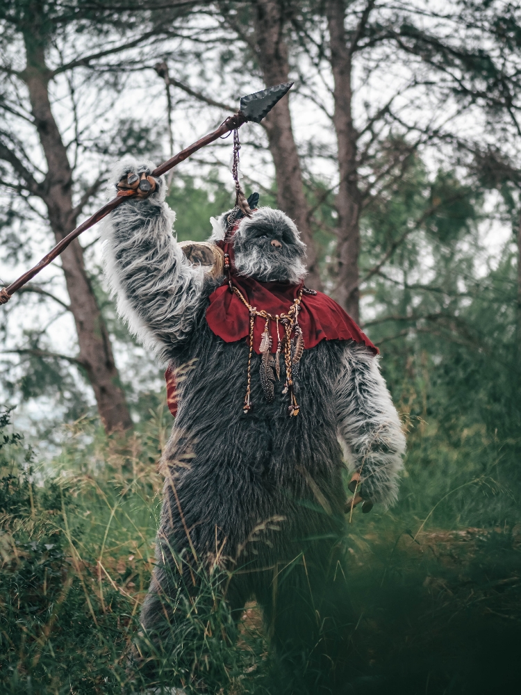 Forest Shooting — photo 11