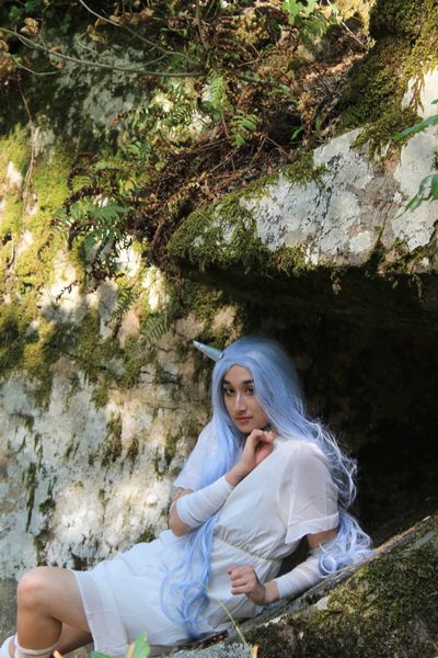 ._dash_.cos, Eri