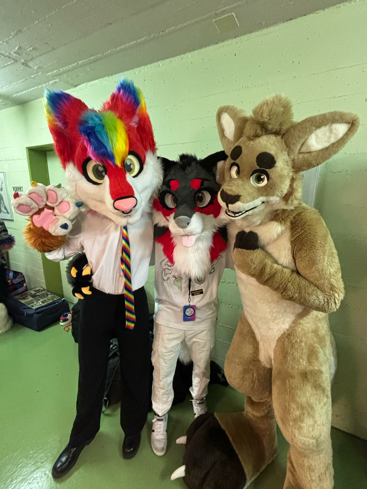 switzerland - Photo 7