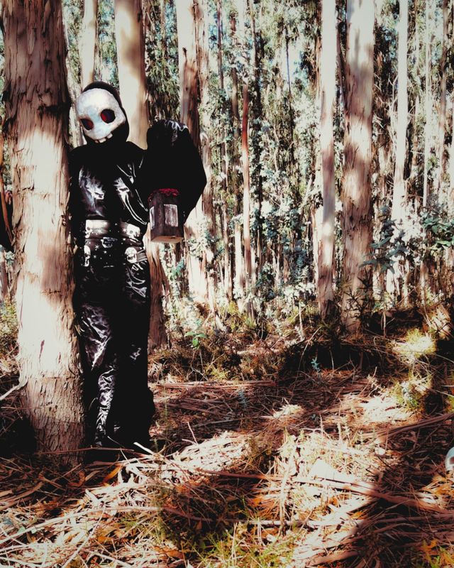 Akatsukibathory, Duskull 