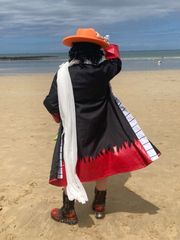 Plage preview 3