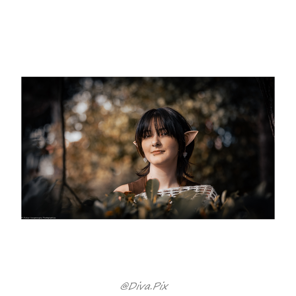 Oc Elfe Amaëlys - Photo 2