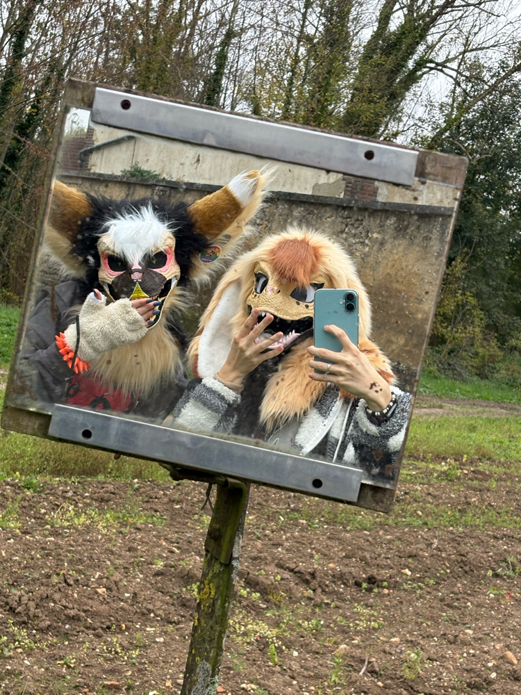 Photos Tapioca - Photo 35