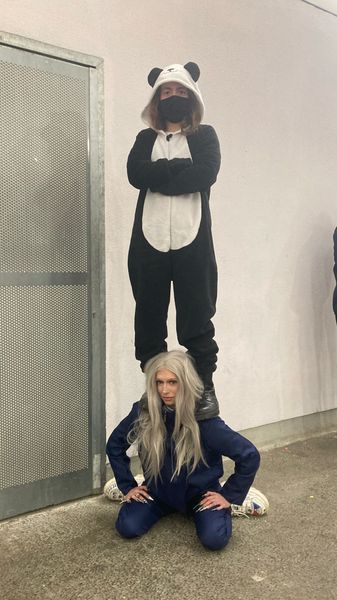 -clara - Panda