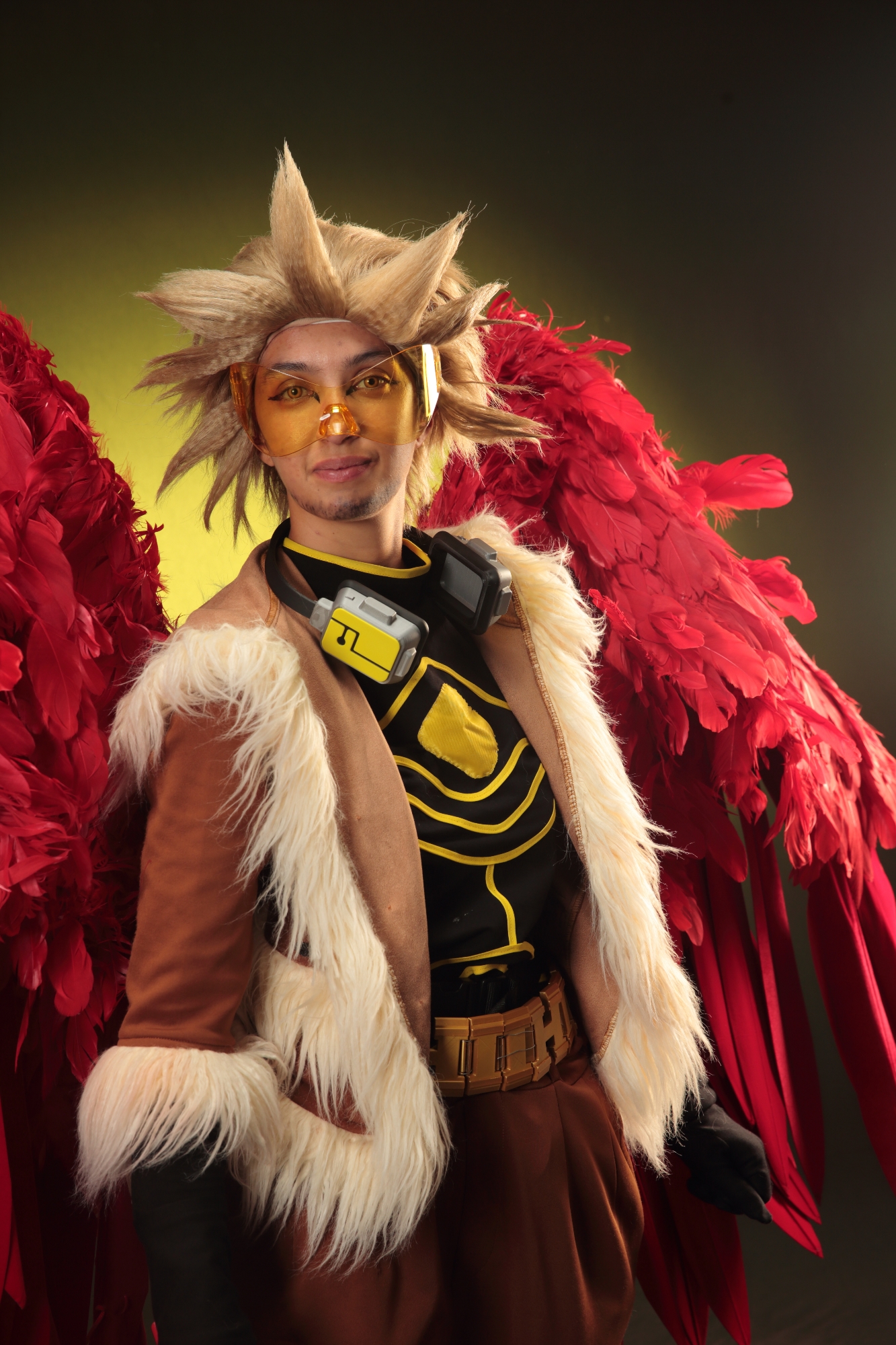 Hawks — photo 145