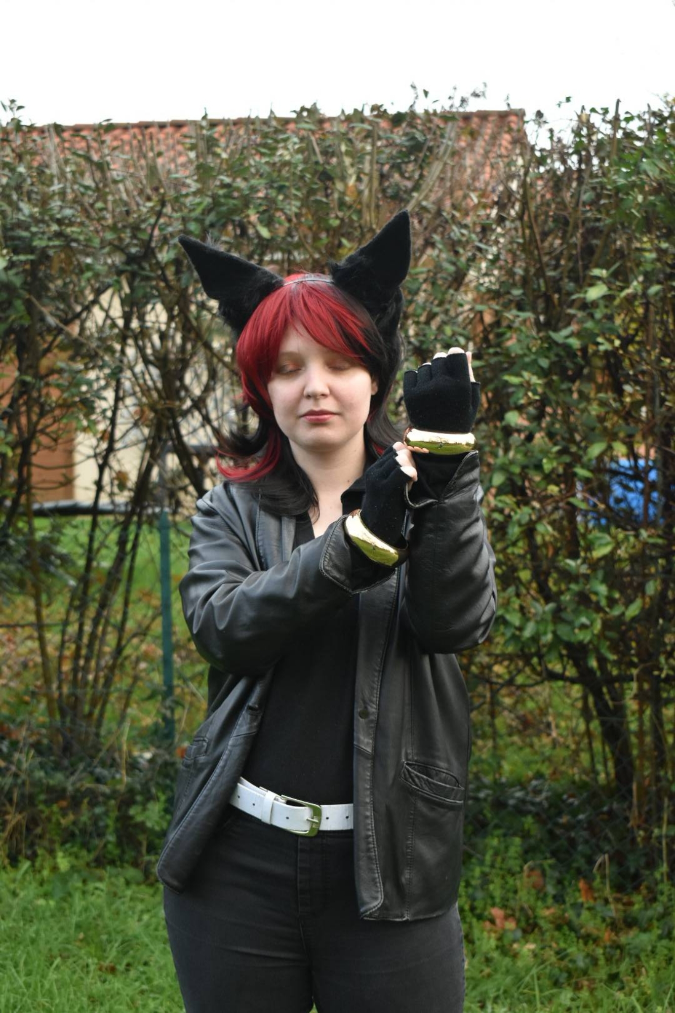 Shadow the Hedgehog — photo 8