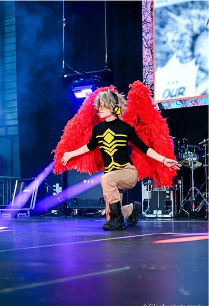 Toile._.cos - Hawks