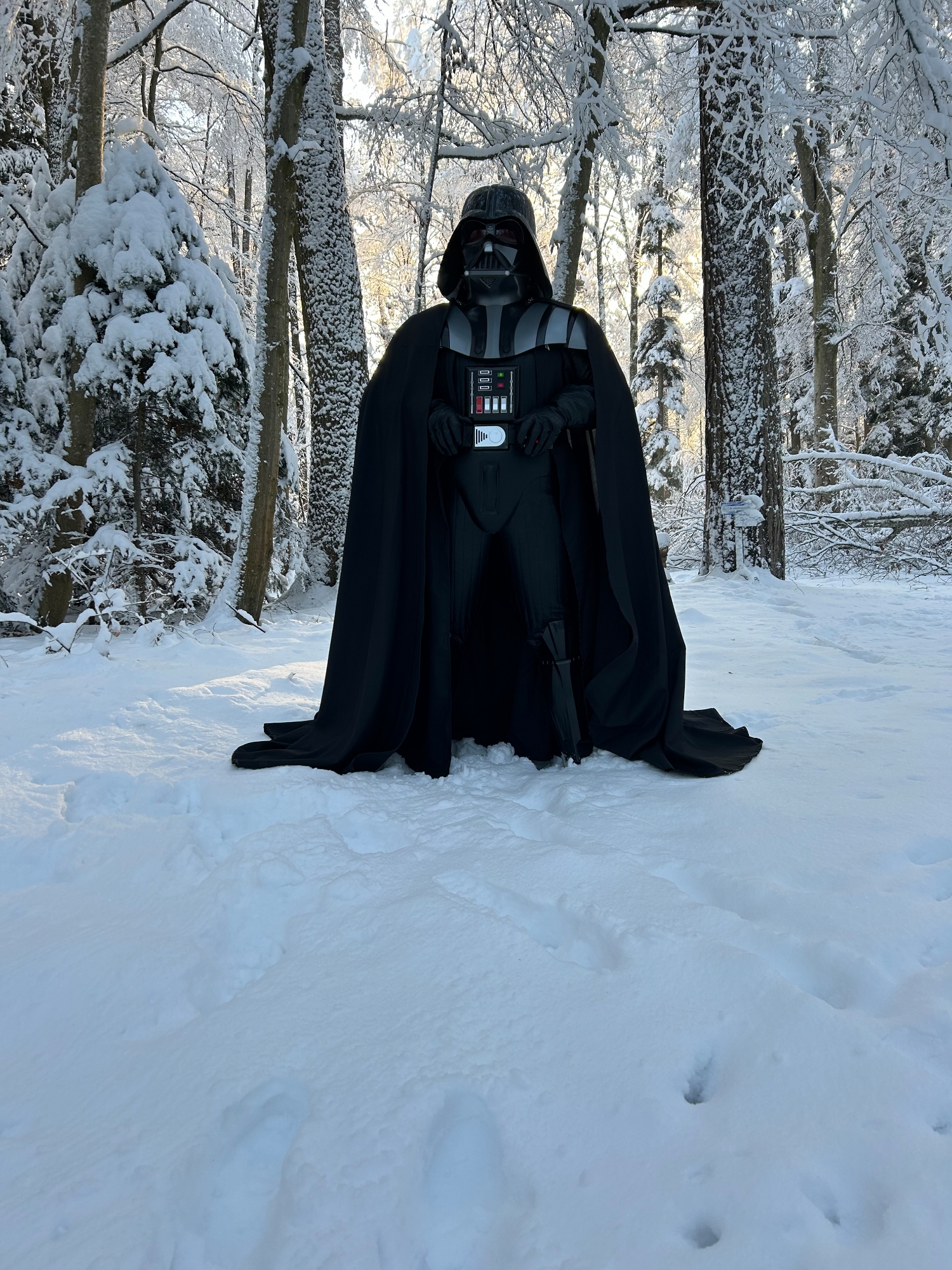 Snow Vader — photo 35