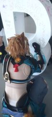Gorou preview 3