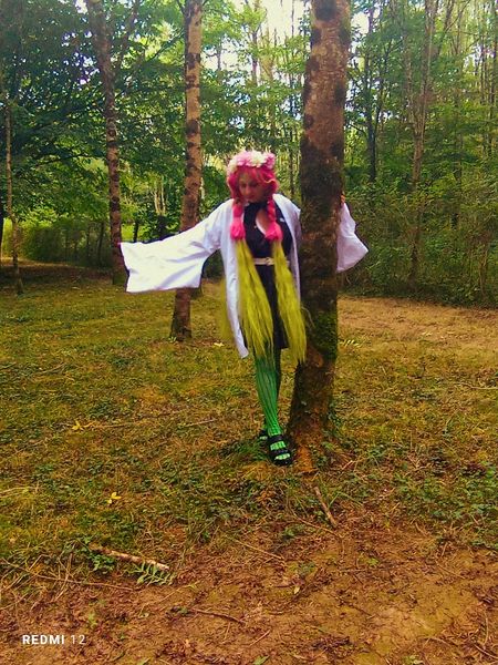 Naraku - Mitsuri KANROJI
