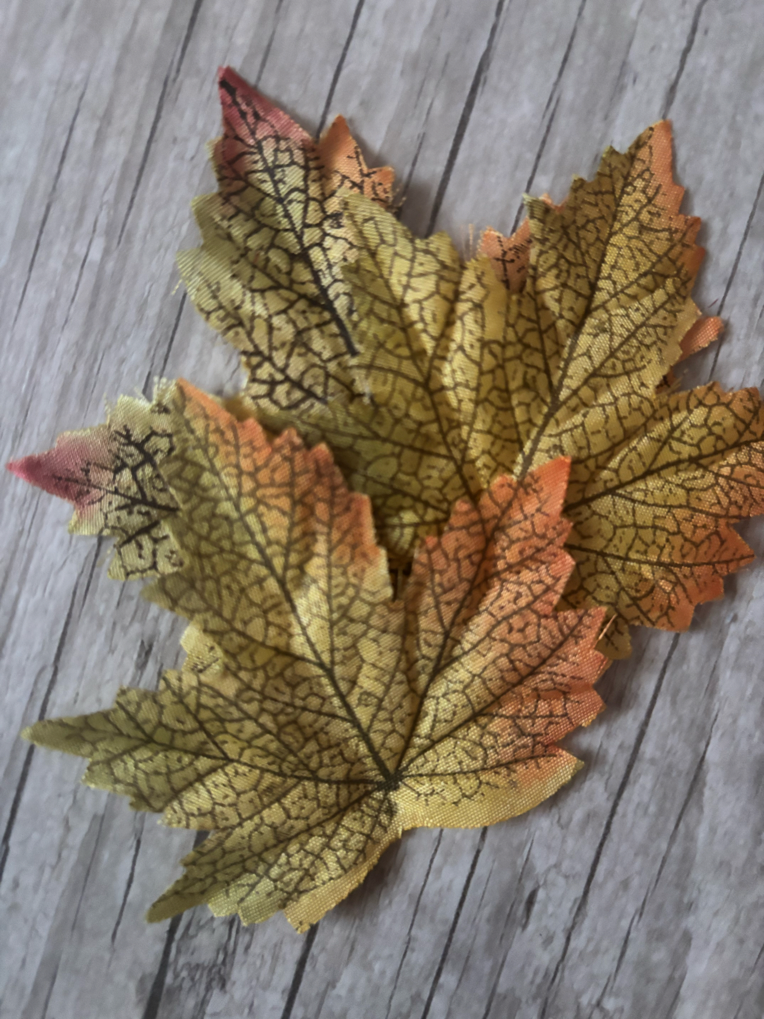 Feuille (Mao Mao) - Photo 5