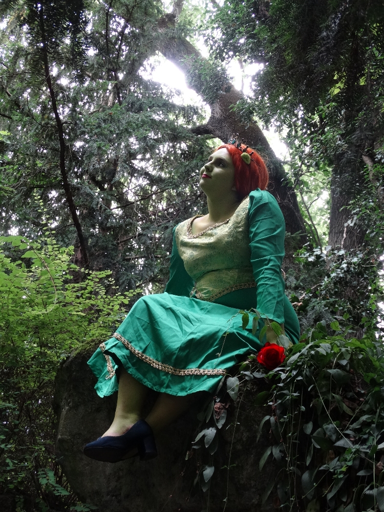 Fiona (shrek) - Photo 5