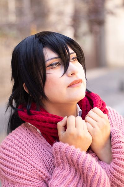 Akai.nya - Mikasa final