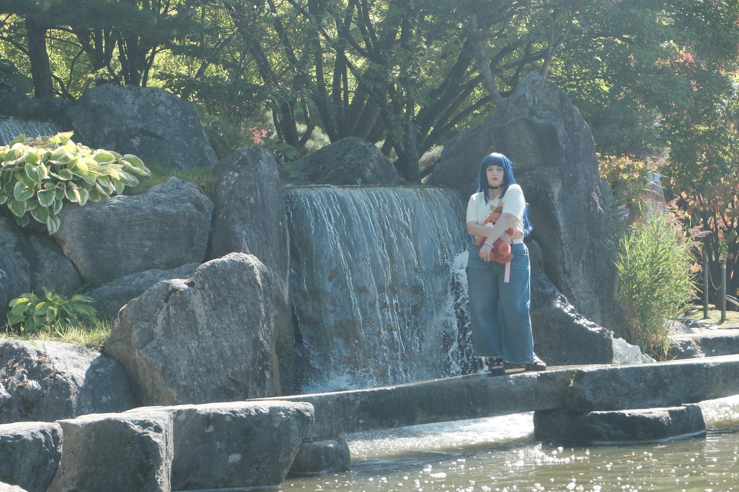 Himawari  - Photo 42