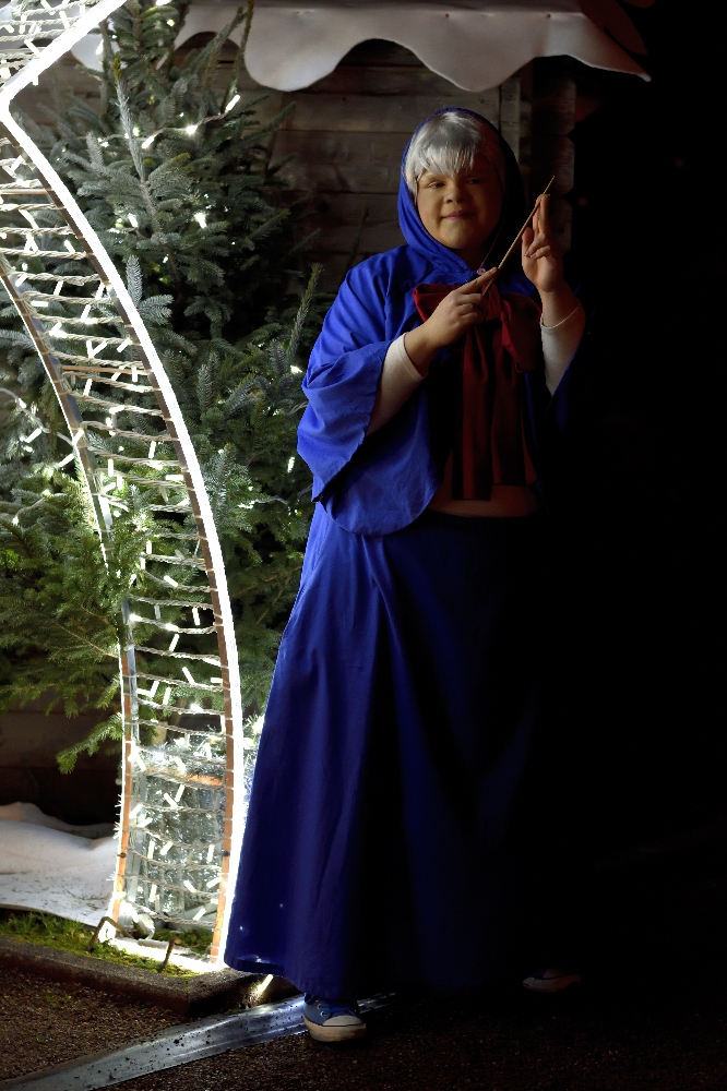 Marraine Cendrillon  - Photo 3