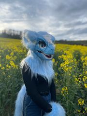 Fleurs de colza ☀️ preview 3