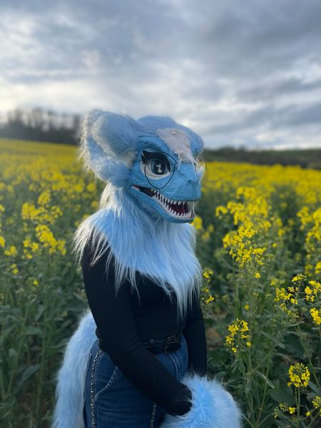 Fursymphony - Fleurs de colza ☀️