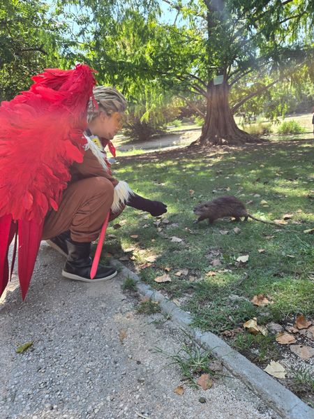 Marie_co - Hawks 