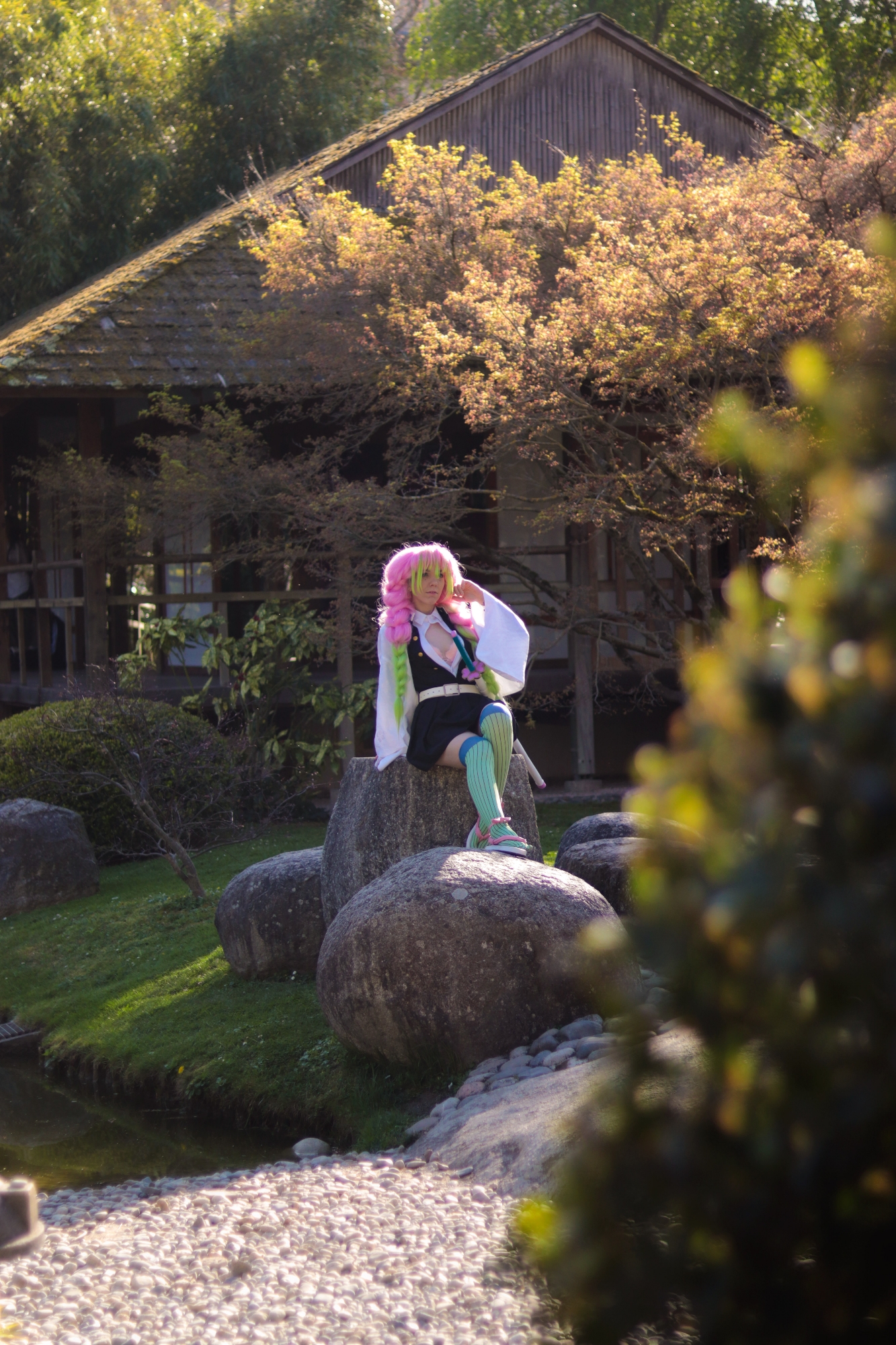Mitsuri kanroji — photo 9