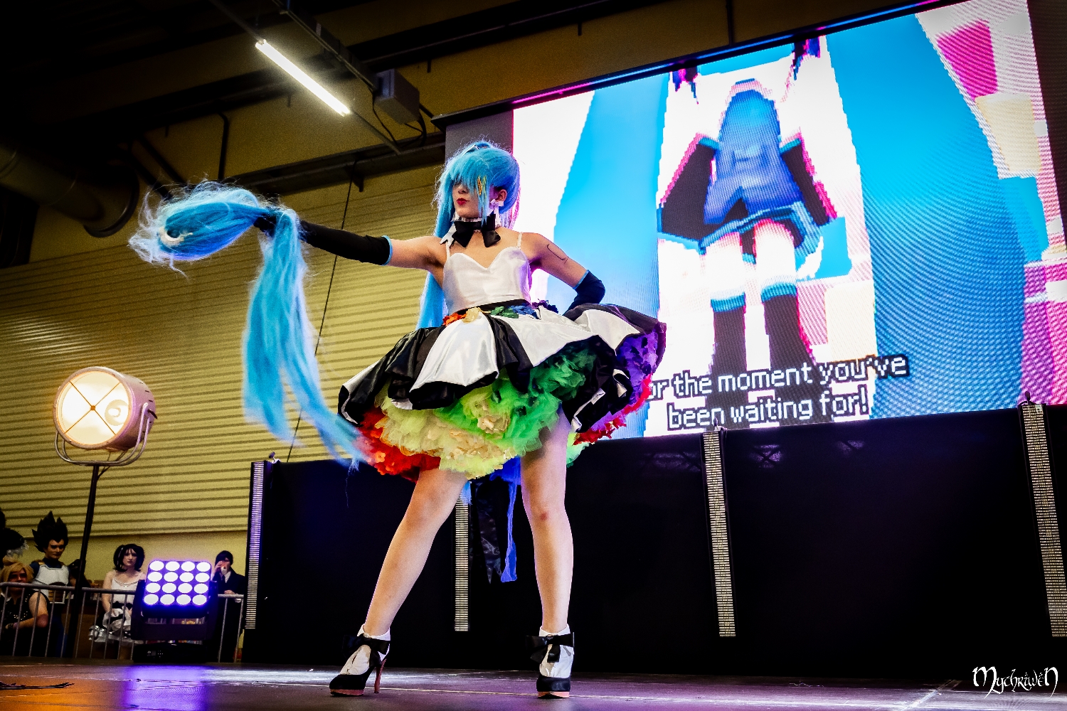 Pictapop 2024 - Photo 10