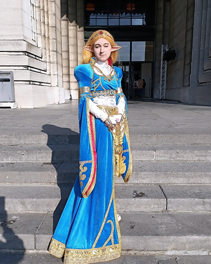 Zelda — photo 6