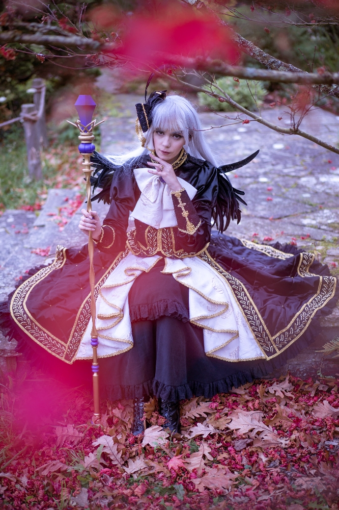Suigintou roseraie  - Photo 3