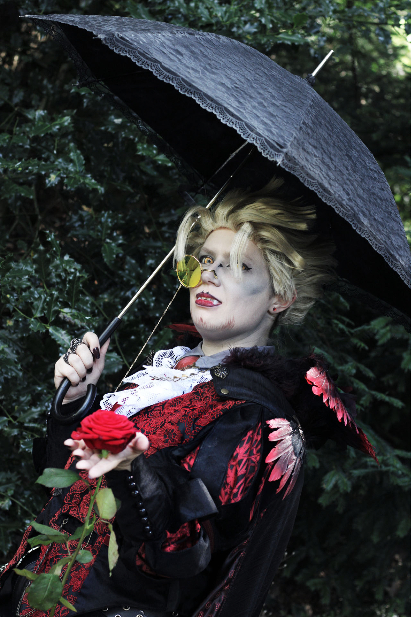 Vampire Hawks, photo 5