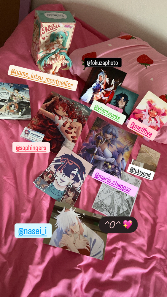 TGS Mtp 2025 Robin - Photo 4