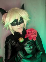 Chat noir preview 3