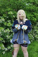 Freminet preview 3