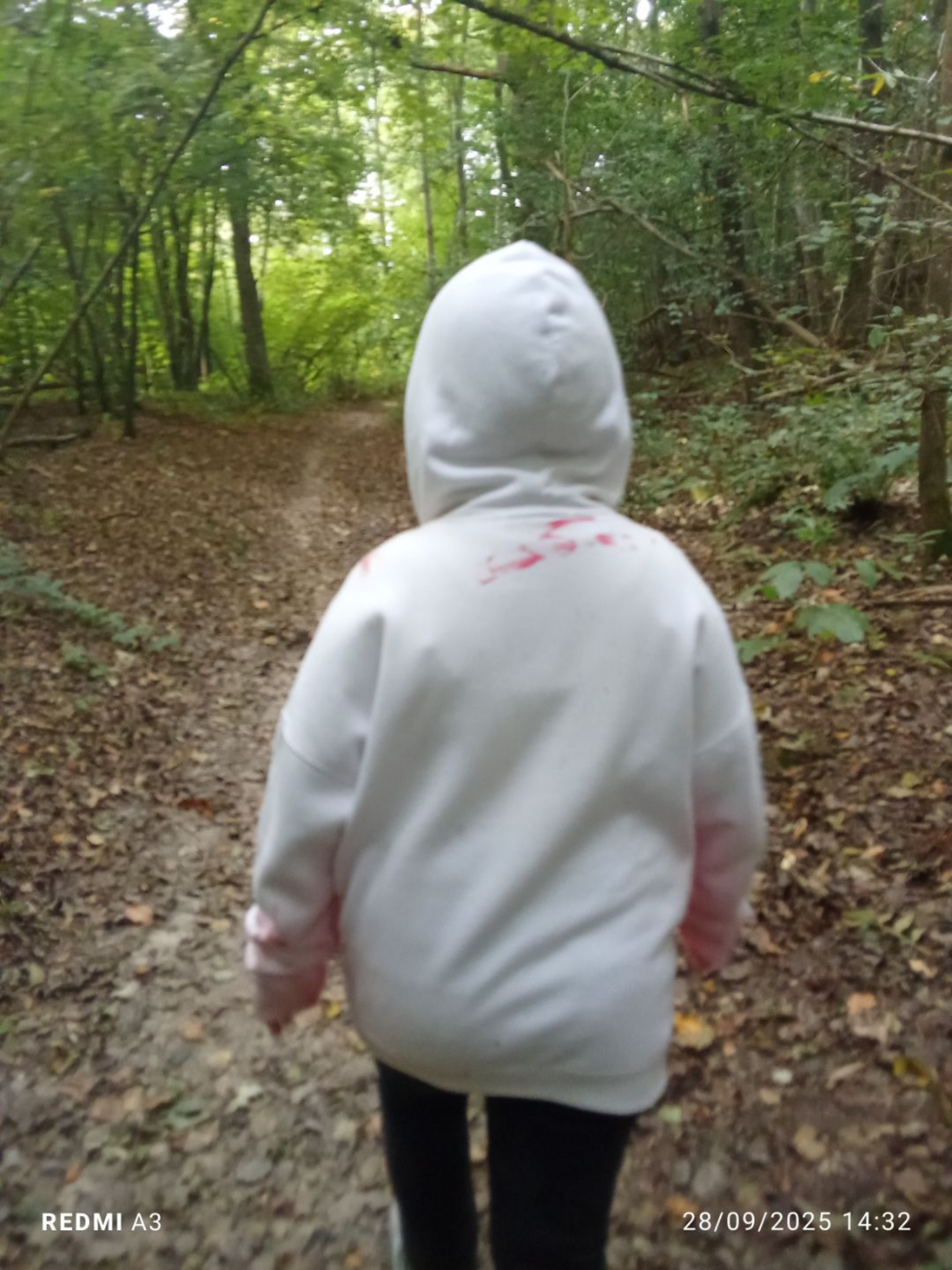 Jeff the killer — photo 8