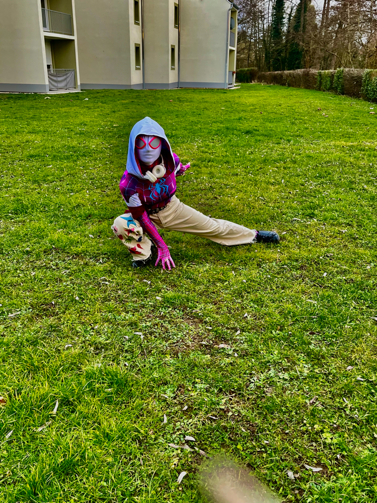 Spider butterfly  - Photo 17