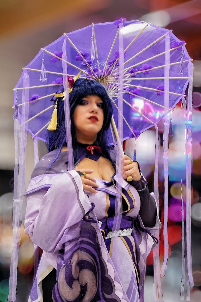 Raiden Shogun - Photo 5