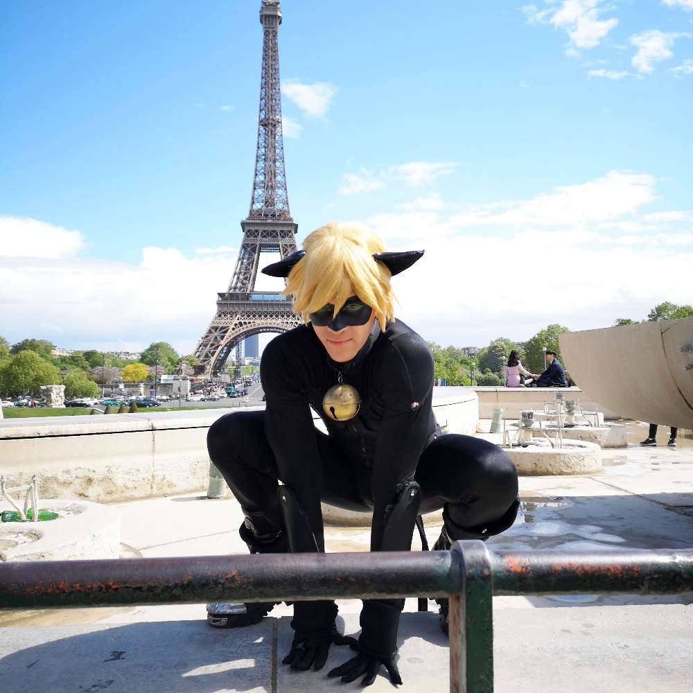 Chat Noir 1
