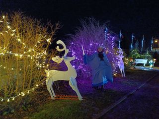 Bonne fée de Noël preview 2