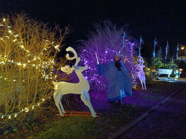 Bonne fée de Noël
