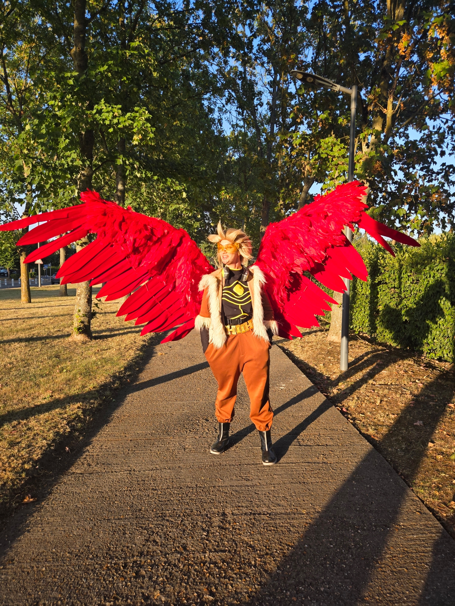 Hawks — photo 112