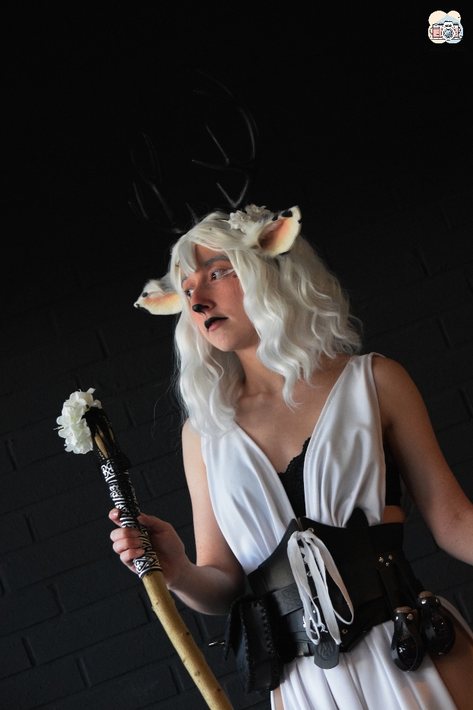 Faune noir et blanc - Photo 18