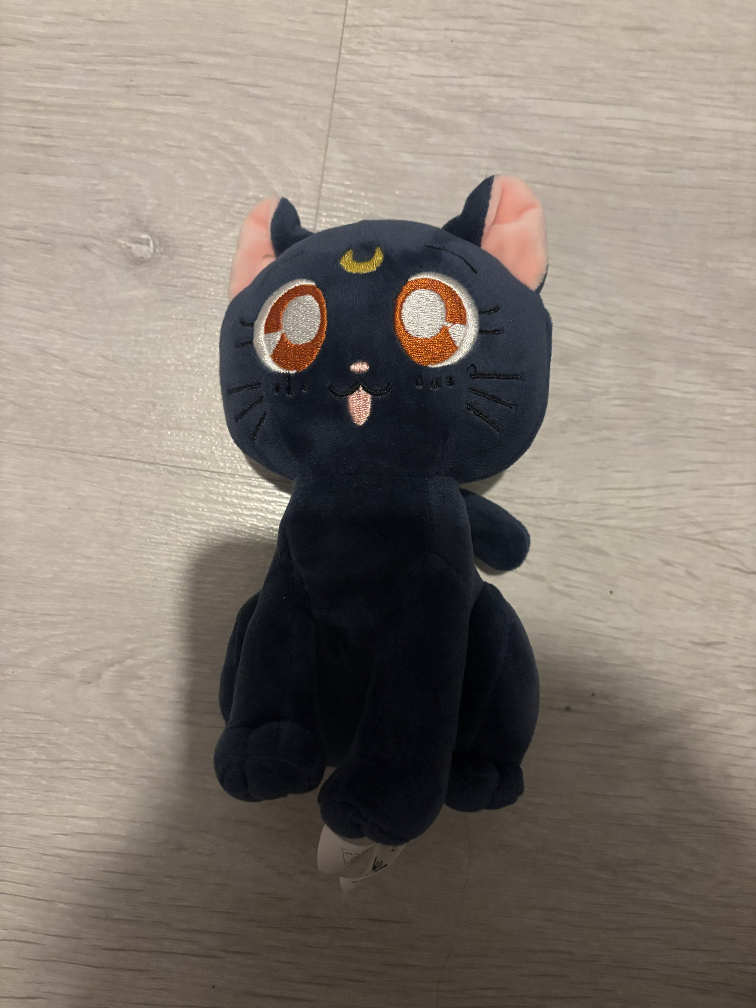 Chat (Sailor moon) - Photo 8