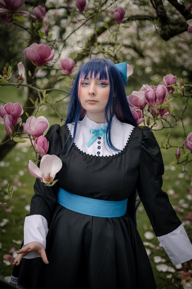 Stocking — photo 34