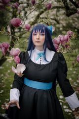 Stocking preview 2