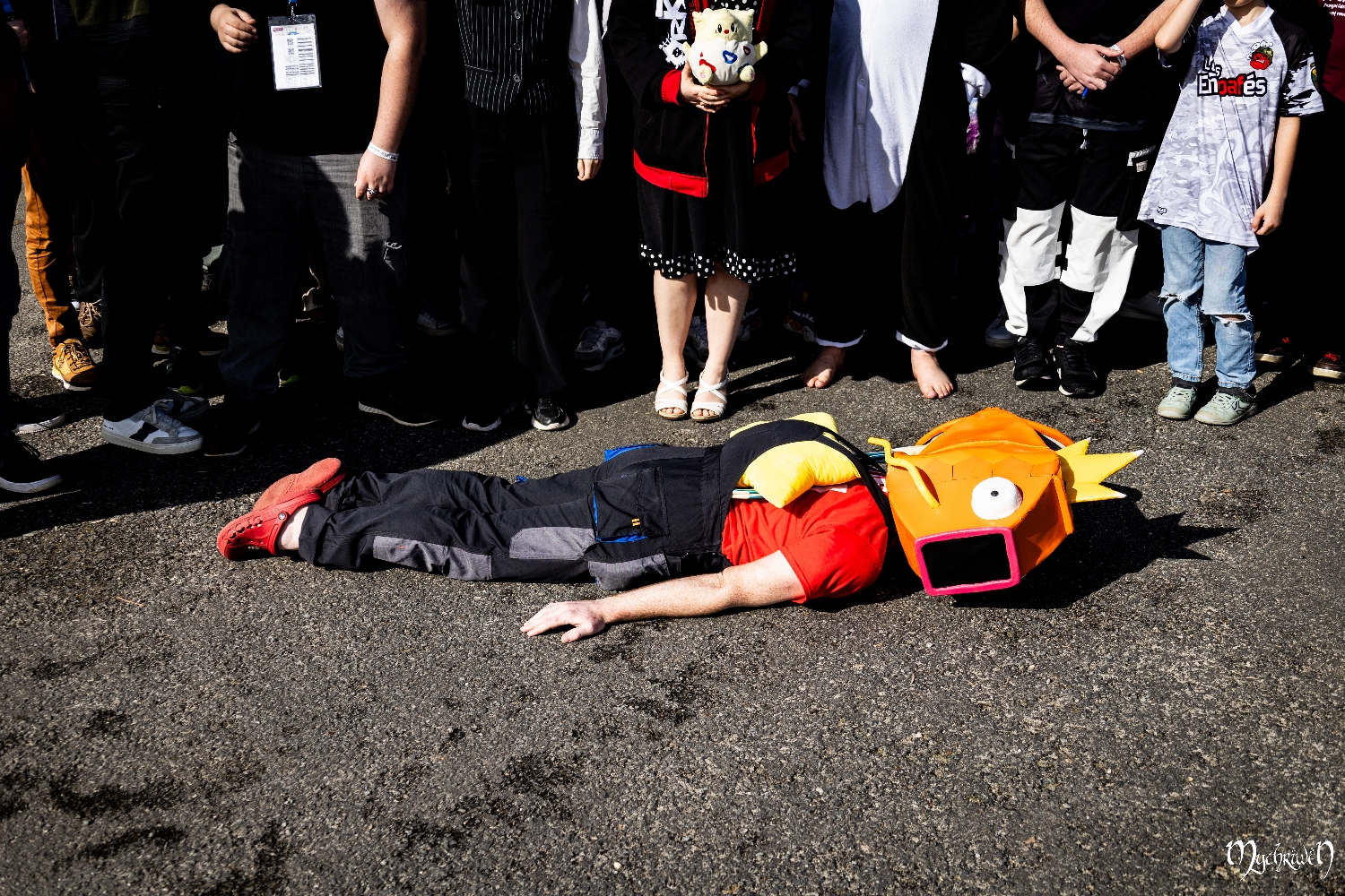 Gamer assembly 2024 - Photo 11