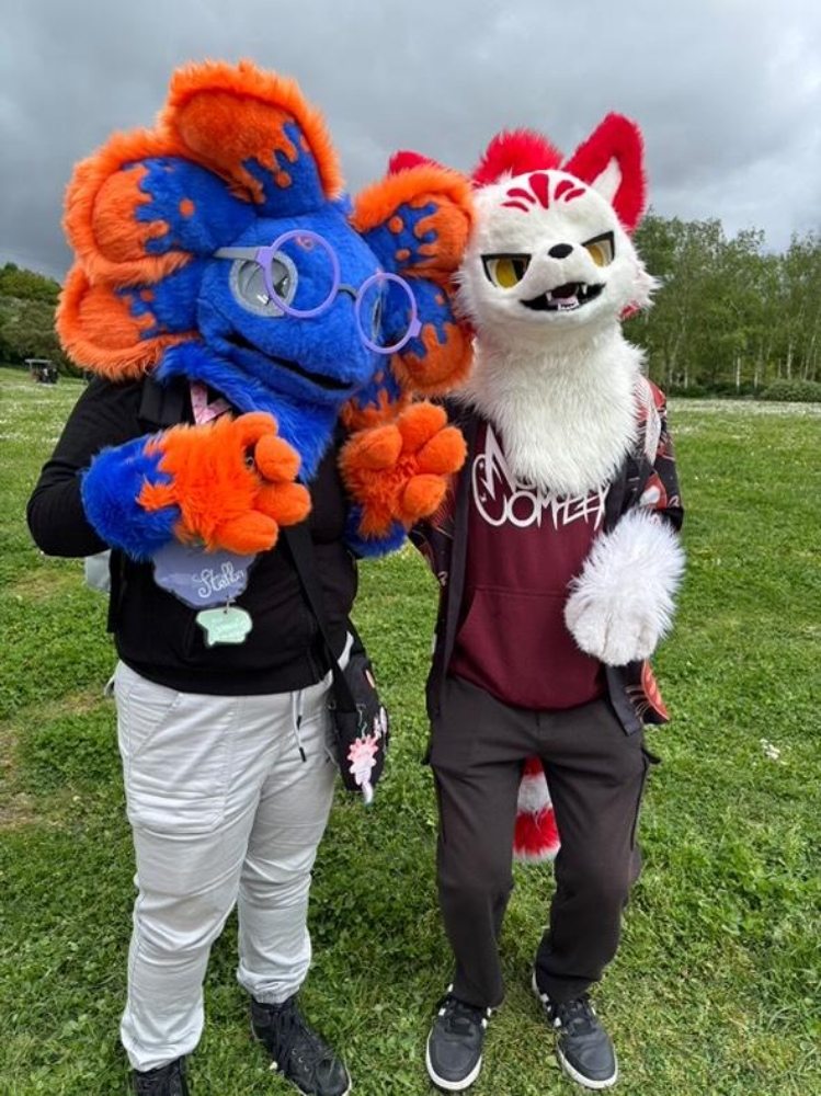 Stellar à japanante - Photo 1