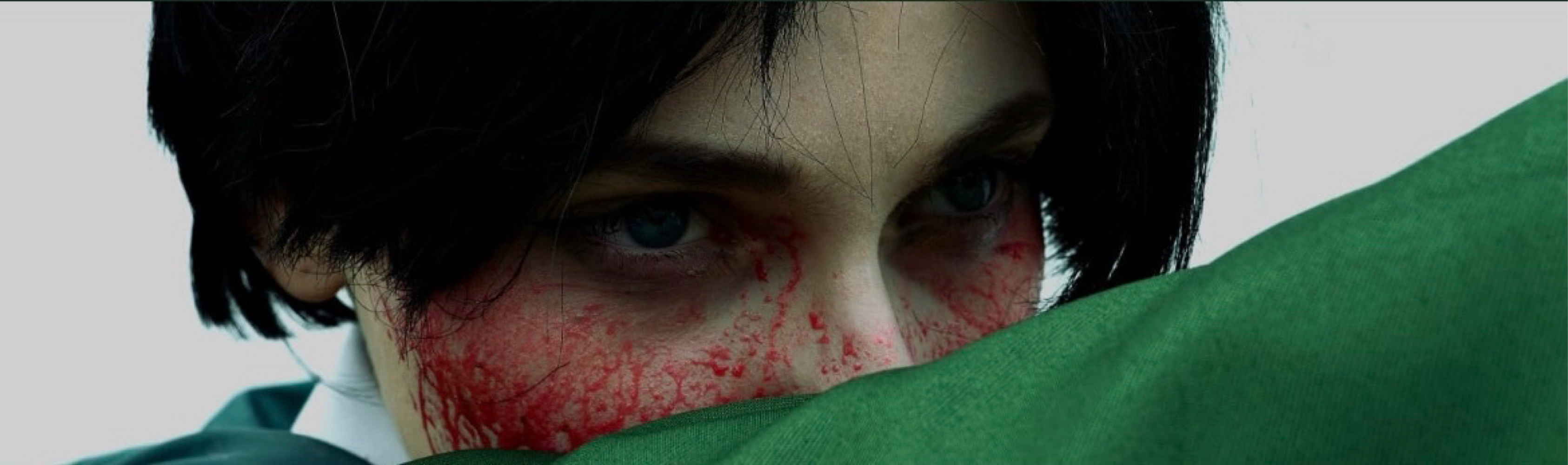 Livai Ackerman - Photo 11