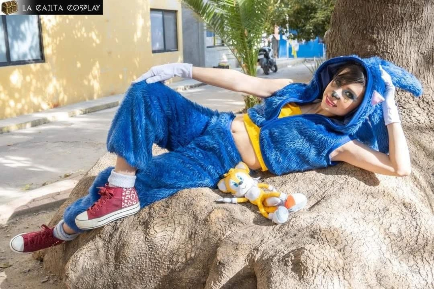 Sonic — photo 11