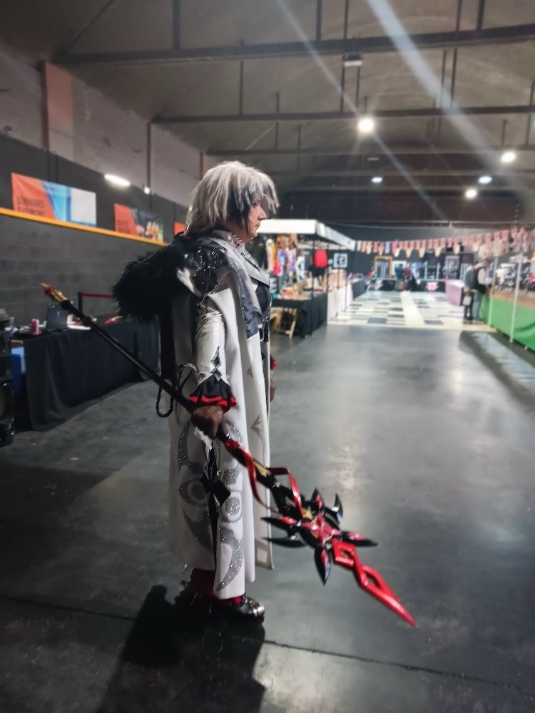 Japan Geek Hénin-Bea — photo 13
