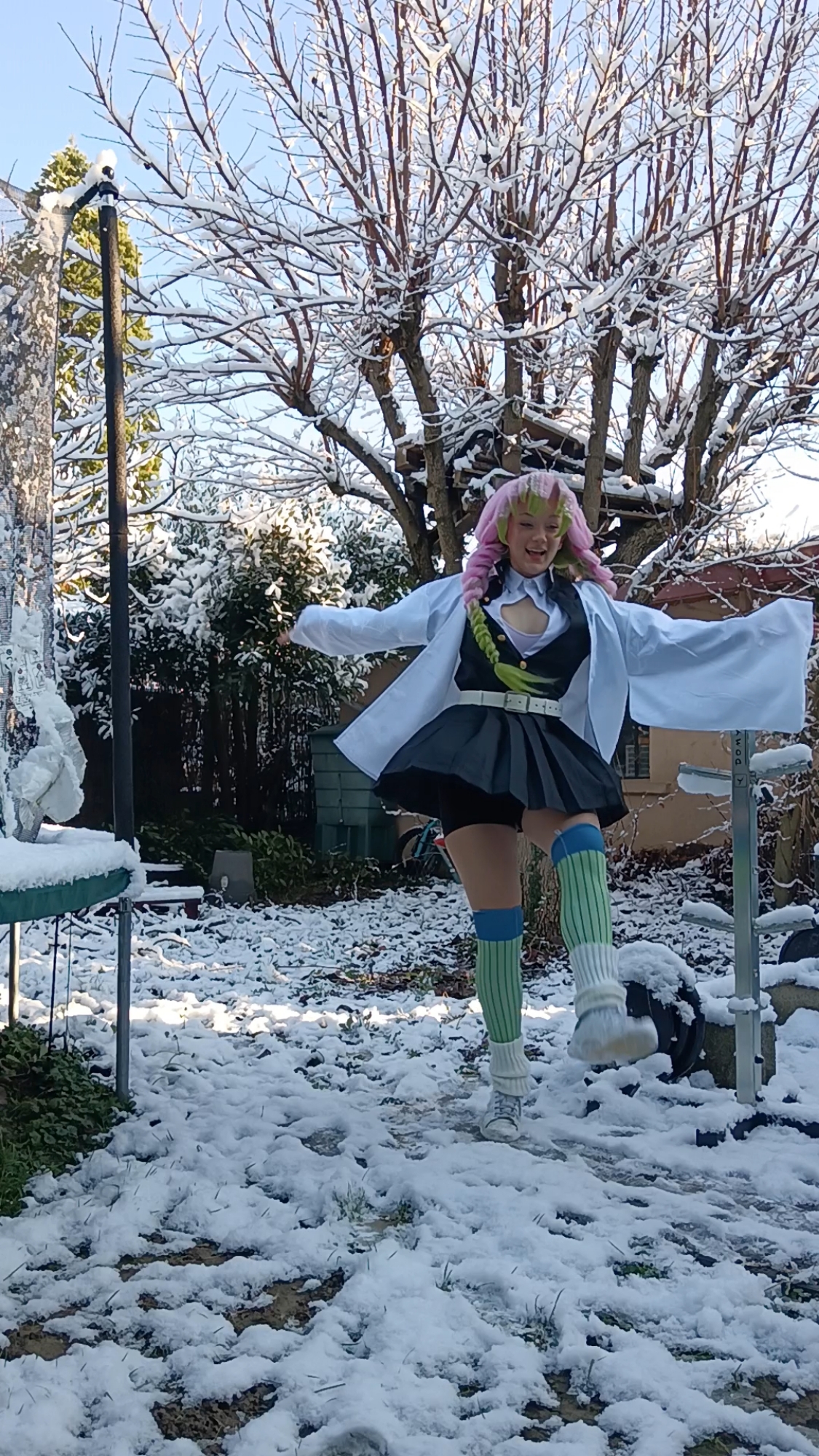 Mitsuri Kanroji - Photo 33